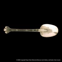 Rat tailed spoon